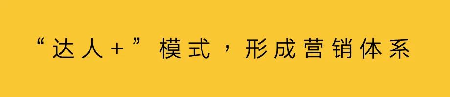 達(dá)人，占據(jù)營銷C位