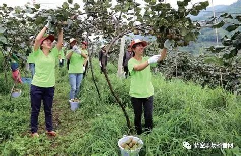 農(nóng)業(yè)經(jīng)理人：如何制定有效的市場營銷策略？