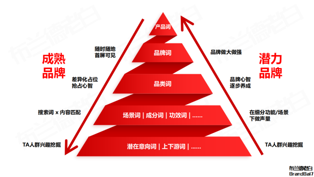 品牌線上增長閉環(huán)：抖音破圈，紅書卡位，貨架承接。