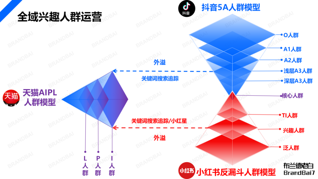 品牌線上增長閉環(huán)：抖音破圈，紅書卡位，貨架承接。